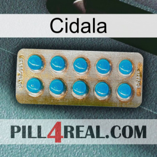 Cidala new09